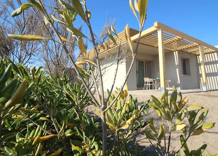 Athesis 로솔리나 마레